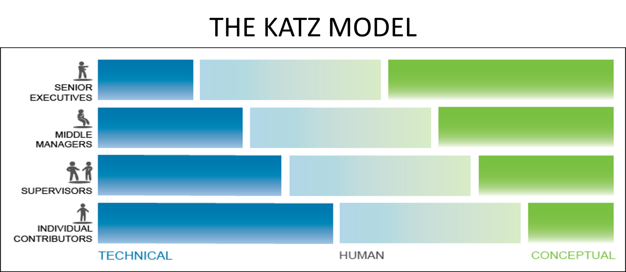 A graphic of the katz model with human colors.